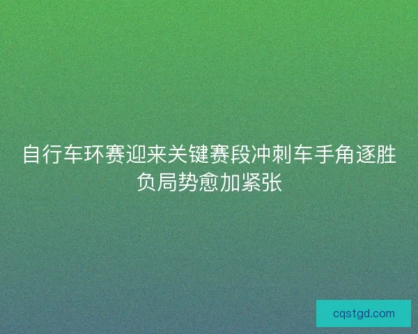 自行车环赛迎来关键赛段冲刺车手角逐胜负局势愈加紧张