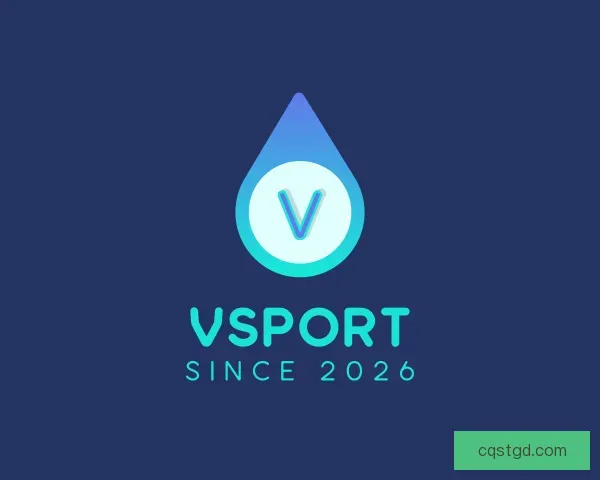 关于VSport